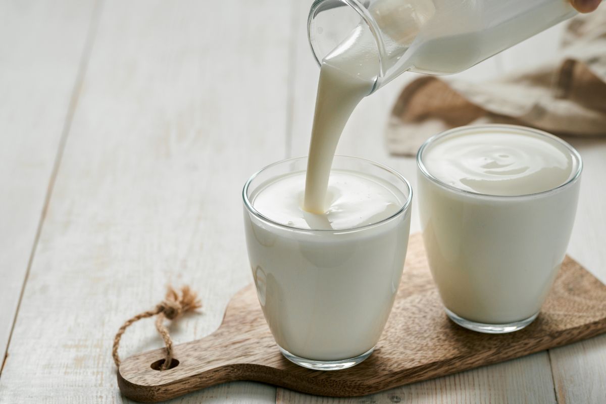 Beneficios del kéfir en fitness y deportistas